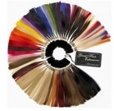 Kleurenringen  width=