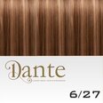 DS Full Head Clips In 42 cm Natural Straight #6/27