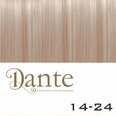 Dante  Clips In LIGHT 42 cm Natural Straight kleur 14-24