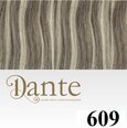 DS Full Head Clips In 50 cm Natural Straight #609