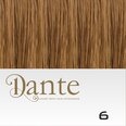 Dante Clips In LIGHT 50 cm Natural Straight kleur 6