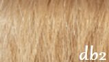 Great Hair Tape Extensions 50 cm kleur DB2 - licht goudblond 