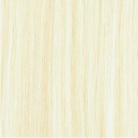 DS tape extensions 12x 4cm breed, lengte 42 cm Natural Straight kl:60