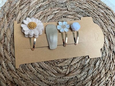 Klik klak haarspeldjes Esme