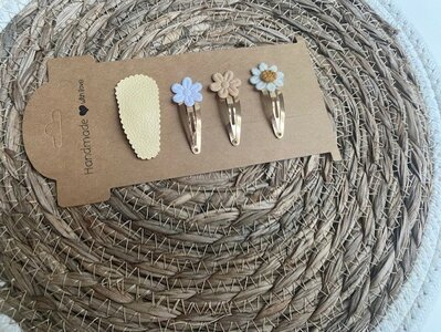 Klik klak haarspeldjes Alicia