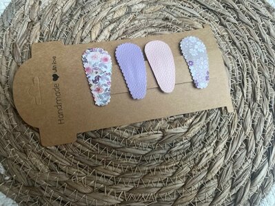 Klik klak haarspeldjes Bregje