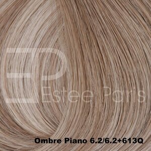Estee Paris Genius Weft 40cm Kleur Ombre 6.2/6.2+613Q - Midden coolblond + lichtblond met midden cool blonde roots | 100% Remy Haar