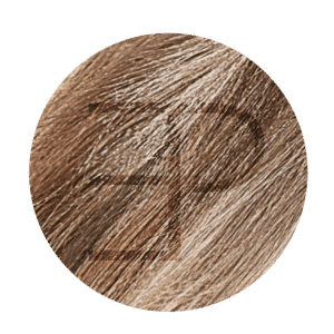 Estee Paris Genius Weft 50 cm  Kleur Mix 60C+1A met grijze haartjes| 100% Remy Haar