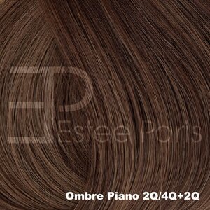 Estee Paris Genius Weft 50 cm  Kleur Ombre 2Q/4Q+2Q - Bruin + lichtbruin met bruine roots | 100% Remy Haar