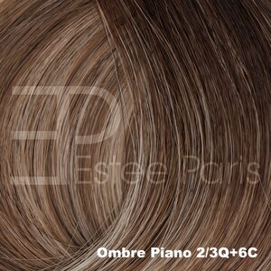 Estee Paris Genius Weft 50 cm  Kleur Ombre 2/3Q+6C - Lichtbruin + blond met bruine roots | 100% Remy Haar
