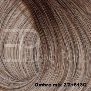 Estee Paris Genius Weft 60 cm Ombre mix 2/2+613Q - Mix blond met bruine roots | 100% Remy Haar