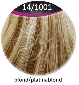Great Hair extensions/40 cm stijl KL: 14/1001 - blond &amp; platinablond