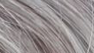 Great Hair weft 50 cm breed, 50 cm lang KL: 1003 - grey ash 