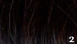 Great Hair weft 50 cm breed, 50 cm lang KL: 2 - donkerbruin 