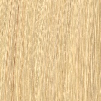 AD weft/haarmat  Kleur : 60/613