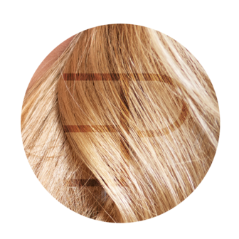 Keratine hairextensions  30 cm Kleur 3- 16 -60C Estee Paris