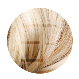 Keratine hairextensions  50 cm Kleur 60C- 9C highlights Estee Paris