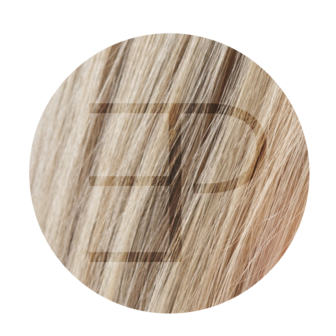 Slim Tape Extensions 50cm Kleur: 60C- 2 licht ash blond  Estee paris