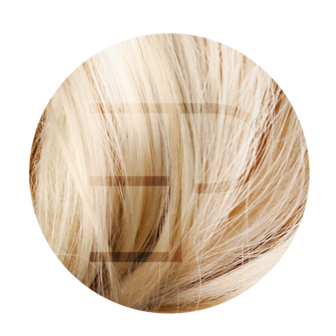 Slim Tape Extensions 50cm Kleur: 60C- 9C highlight,lowlight  Estee paris 