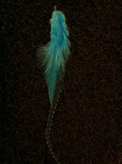 Feather kort Ocean