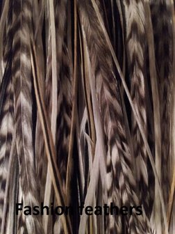 Feather bundel Highlight