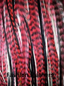 Feather bundel Red