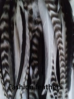 Feather bundel Black