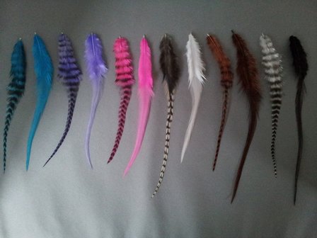 Feathers short (accent) 