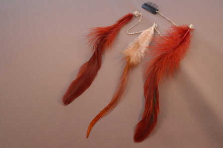 Feather clips in Brown