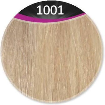 Great Hair extensions/40 cm stijl KL: 1001 - platinablond
