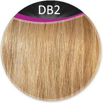 Great Hair extensions/50 cm stijl KL: DB2 - licht goudblond 