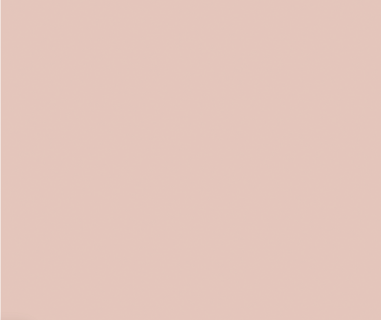   I.Am Brush Builder –Dream Pink HEMA & TPO vrij