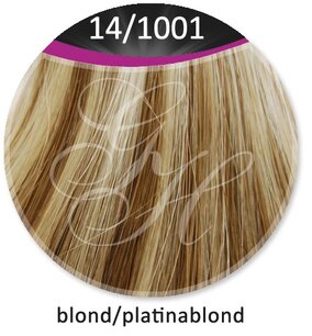 Great Hair extensions/40 cm stijl KL: 14/1001 - blond & platinablond