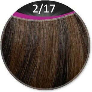 Great Hair extensions/50 cm stijl KL: 2/17 - donkerbruin & middenblond 