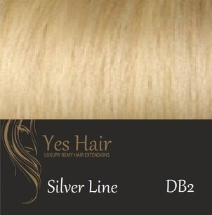 Yes Hair Extensions Silver Line 50 cm NS kleur DB2 Yes Hair Extensions Silver Line 50 cm NS kleur DB2