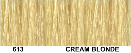 AD weft/haarmat Wavy Kleur : 613 AD weft/haarmat Wavy Kleur : 613