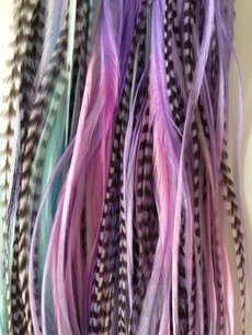 Feather bundel Rainbow Feather bundel Rainbow
