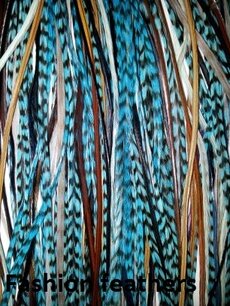 Feather bundel Ocean Feather bundel Ocean