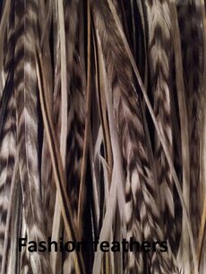 Feather bundel Highlight Feather bundel Highlight