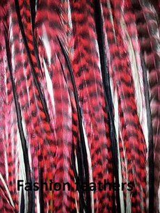 Feather bundel Red Feather bundel Red