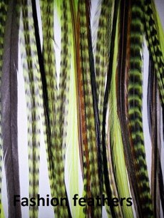 Feather bundel Green Feather bundel Green