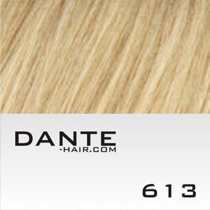 DS Weft 50 cm breed, 50 cm lang #613 Platinum Blonde DS Weft 50 cm breed, 50 cm lang #613 Platinum Blonde