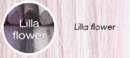 Pastel lilla flower Pastel lilla flower