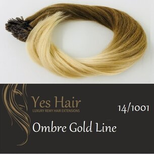 Yes Hair Extensions Gold Line Ombre 50/55 cm NS kleur 14/1001 Yes Hair Extensions Gold Line Ombre 50/55 cm NS kleur 14/1001