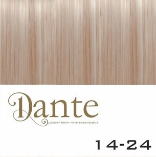 Dante  Clips In LIGHT 42 cm Natural Straight kleur 14-24 Dante  Clips In LIGHT 42 cm Natural Straight kleur 14-24