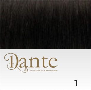 Dante  Clips In LIGHT 50 cm Natural Straight kleur 1 Zwart