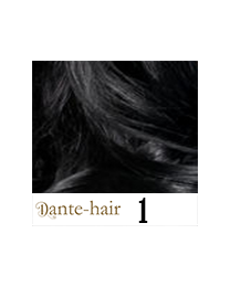 Dante Flex S1 Dante Flex S1
