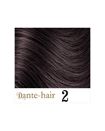 Dante Flex S2 Dante Flex S2