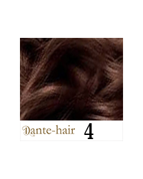 Dante Flex S4 Dante Flex S4