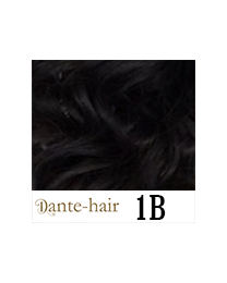 Dante Flex S1B Dante Flex S1B